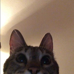 Meet your Posher, Mel